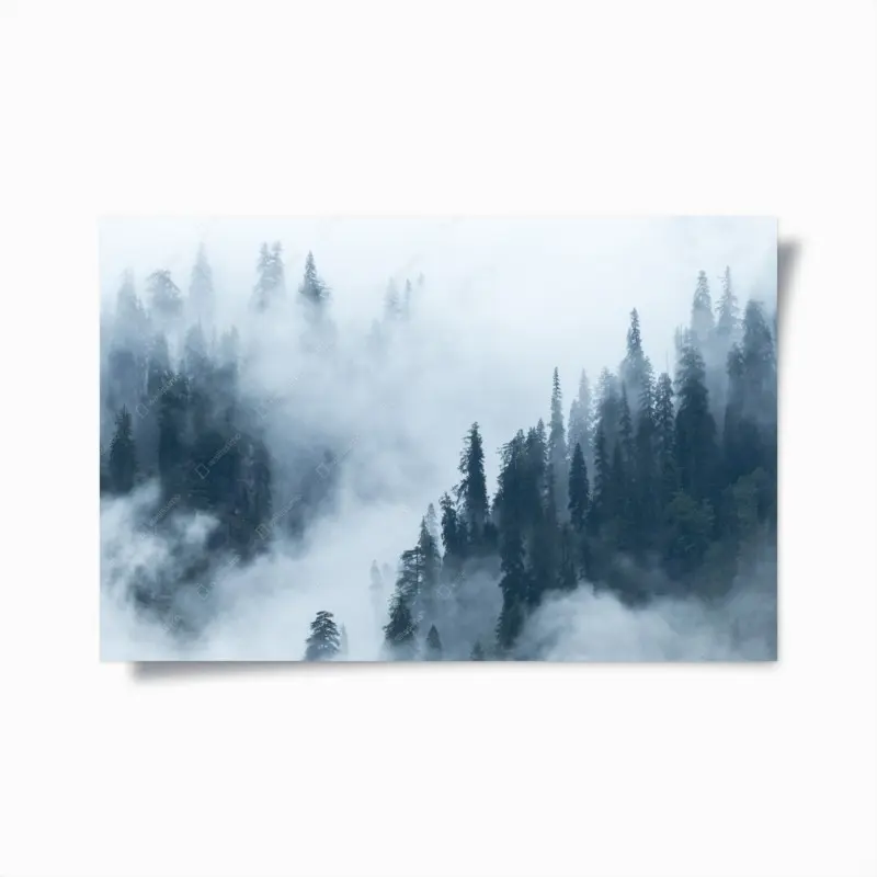 Plakat mglisty las sosnowy
