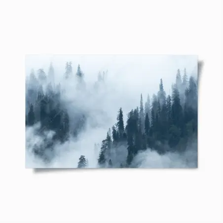 Plakat mglisty las sosnowy – Wallissimo®