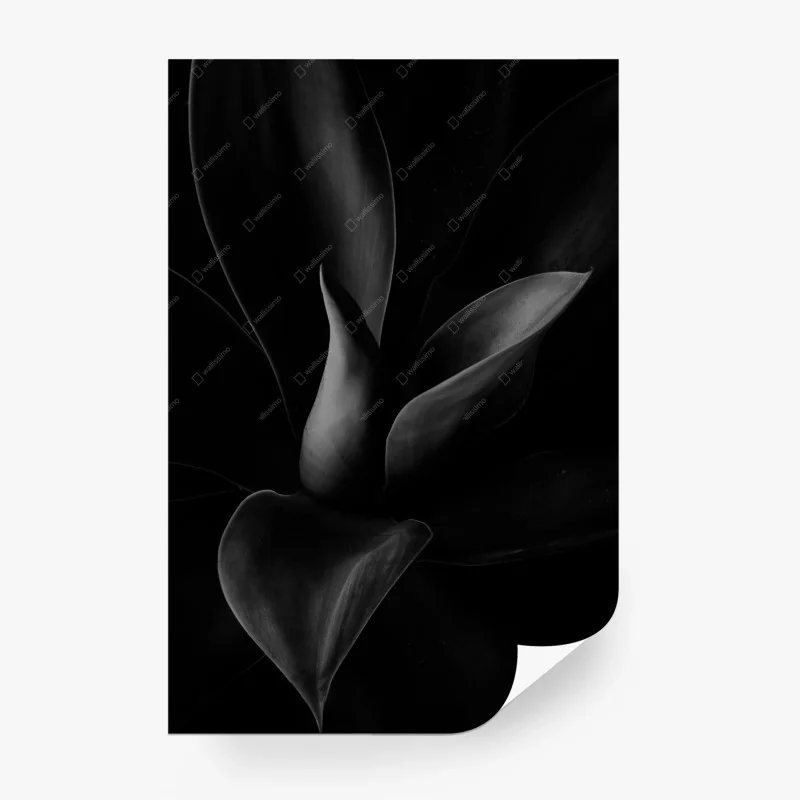 Fototapeta – Wallissimo®