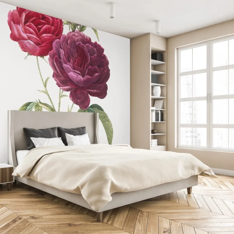 Fototapeta botaniczna ilustracja purpurowej róży