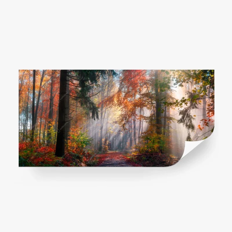 Fototapeta magiczny jesienny las oświetlony słońcem