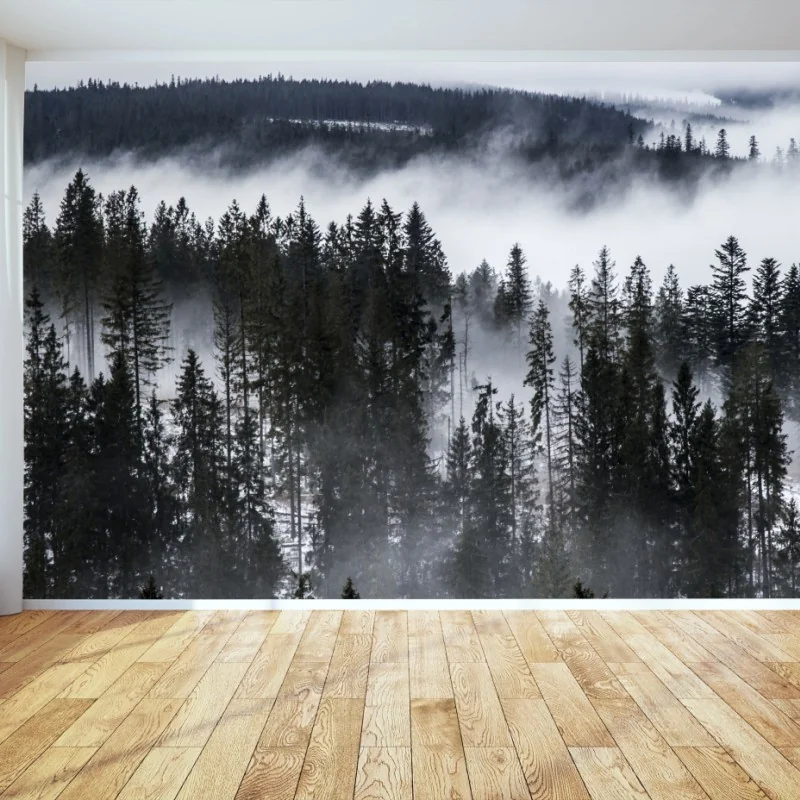 Fototapeta Tatry w zimowej mgle