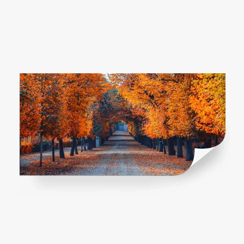 Fototapeta jesienna aleja pomarańczowych drzew