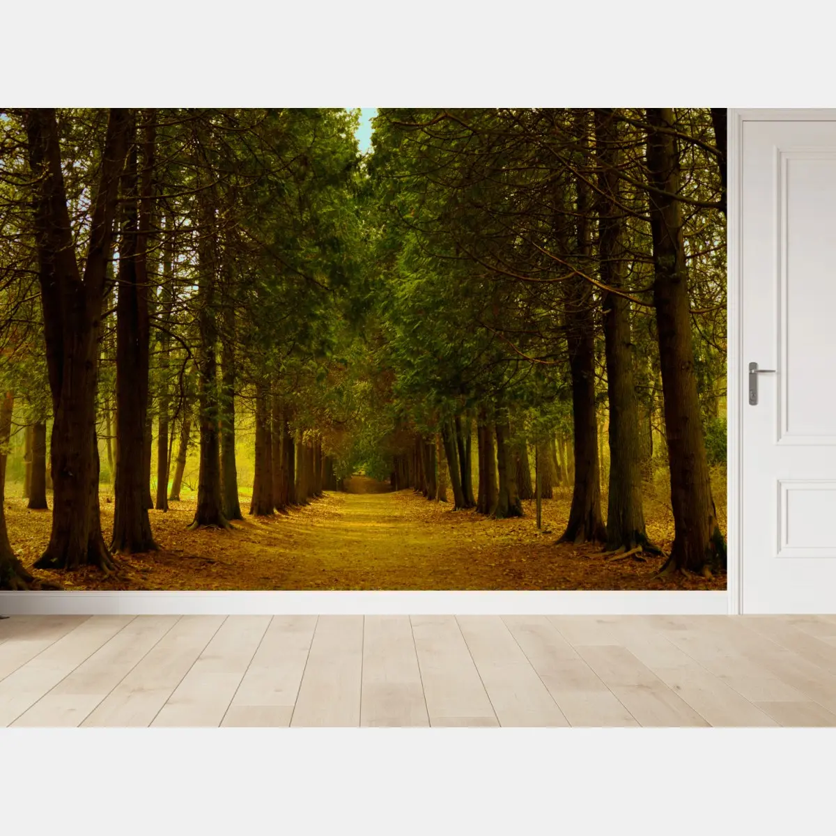 Fototapeta spokojna leśna aleja – Wallissimo®