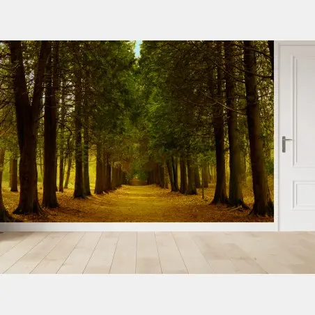 Fototapeta spokojna leśna aleja – Wallissimo®