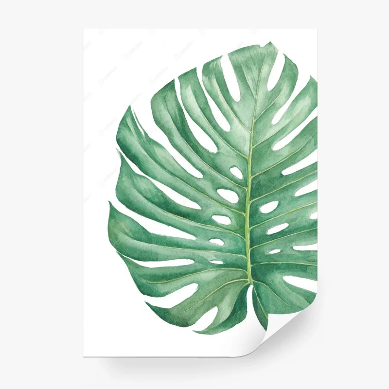 Fototapeta tropikalny liść monstera w akwareli
