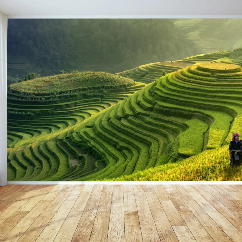 Fototapeta Mu Cang Chai tarasy ryżowe