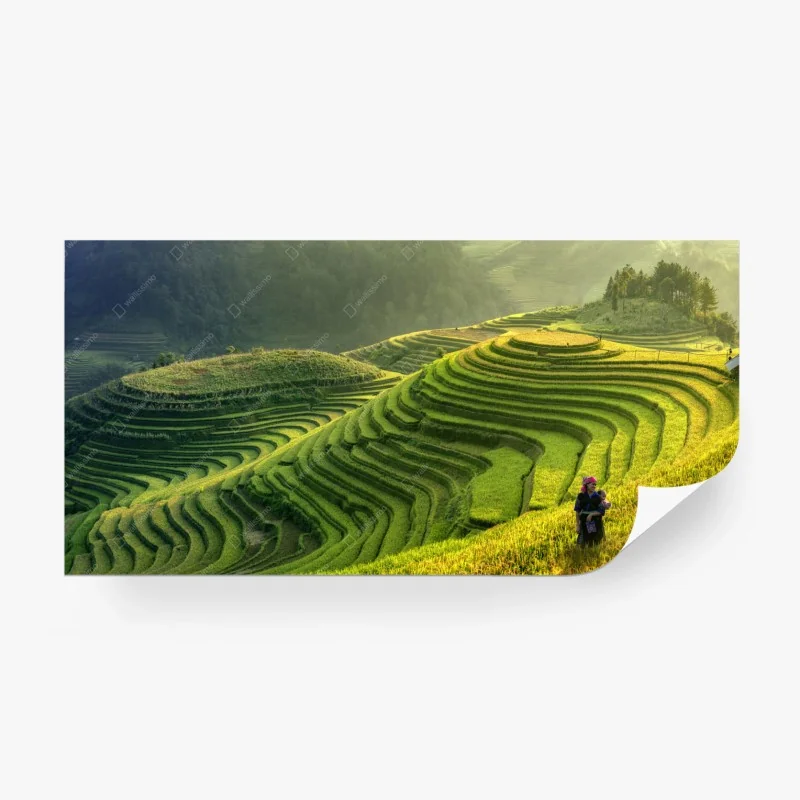 Fototapeta Mu Cang Chai tarasy ryżowe