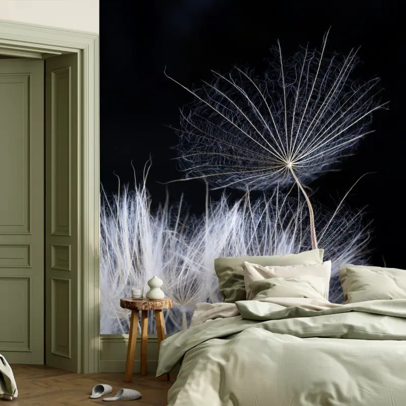 Fototapeta delikatne ziarno mniszka na czarnym tle
