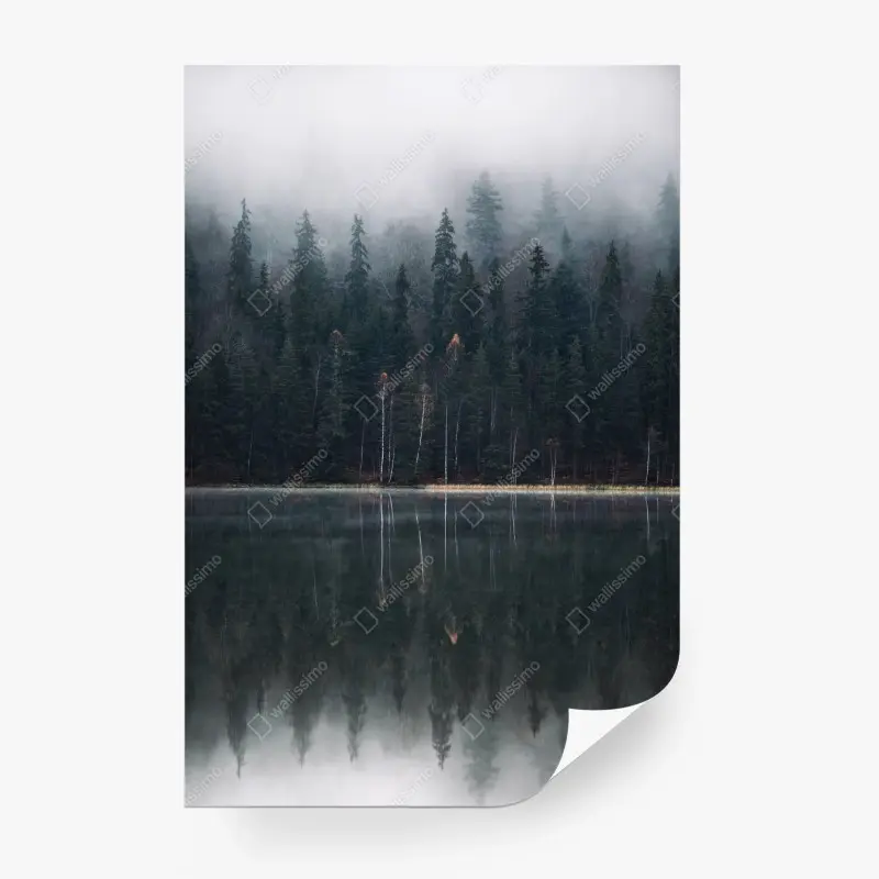 Fototapeta mglista refleksja w lesie