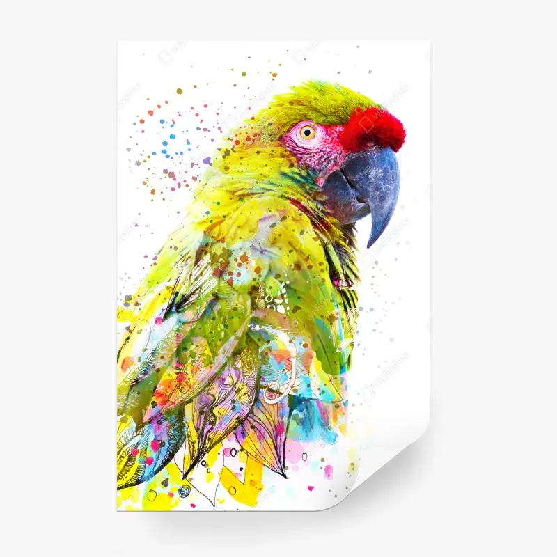 Fototapeta żywy portret papugi w akwareli