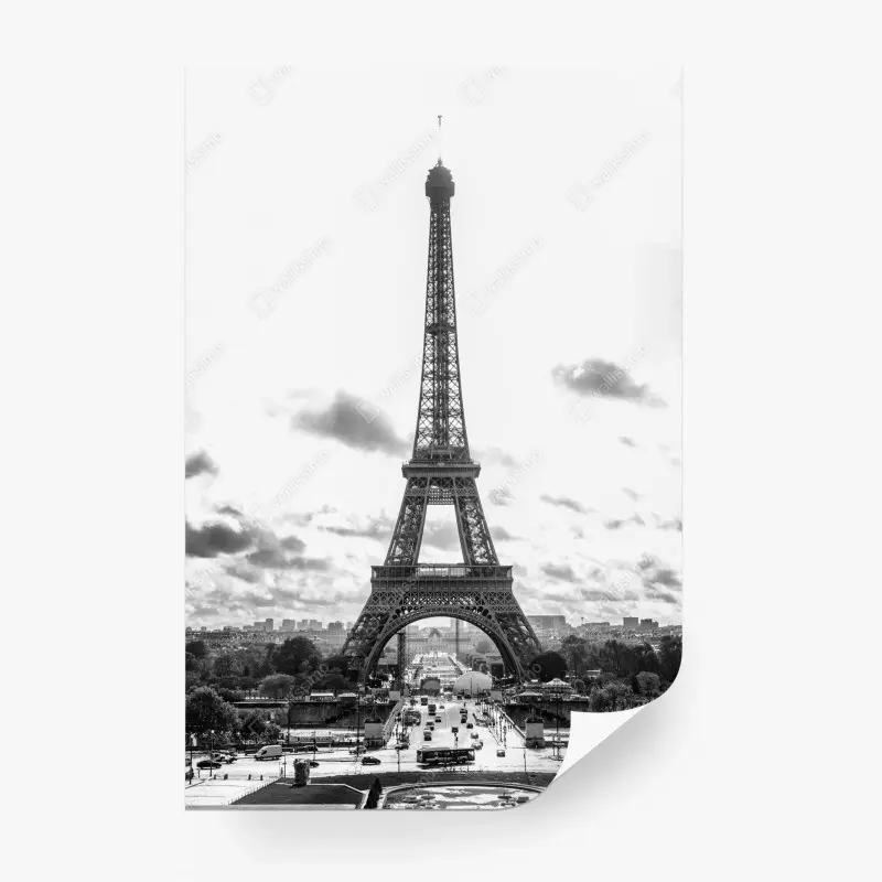 Fototapeta Paryż Wieża Eiffla w monochromie