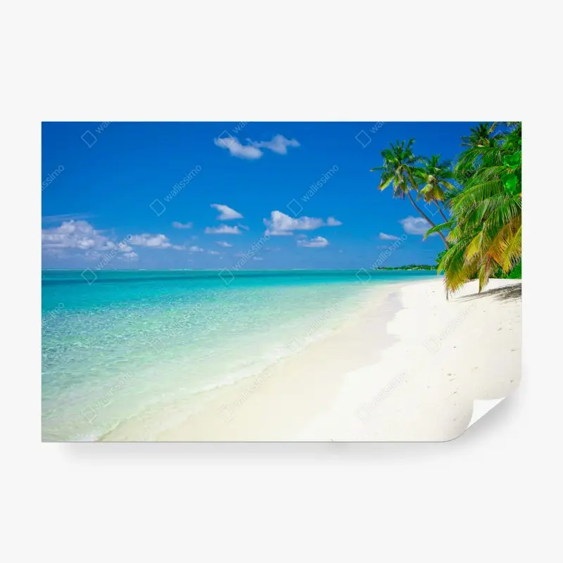 Fototapeta tropikalna turkusowa plaża