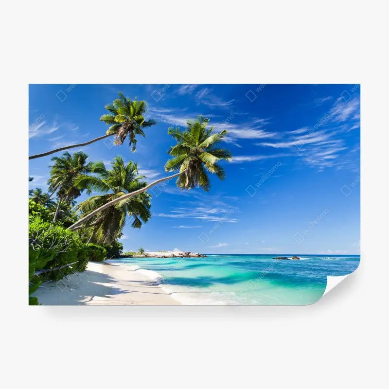 Fototapeta tropikalna plaża z palmami