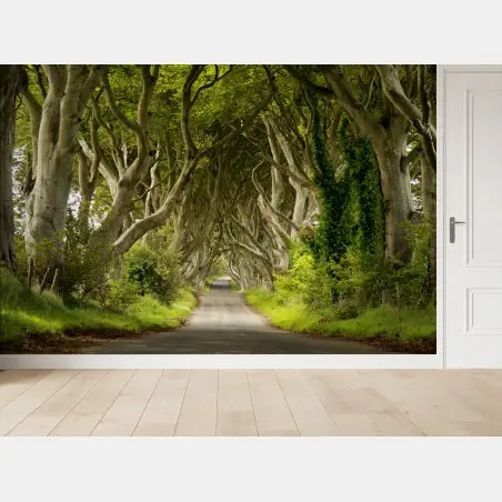 Fototapeta zaczarowany tunel bukowy – Wallissimo®