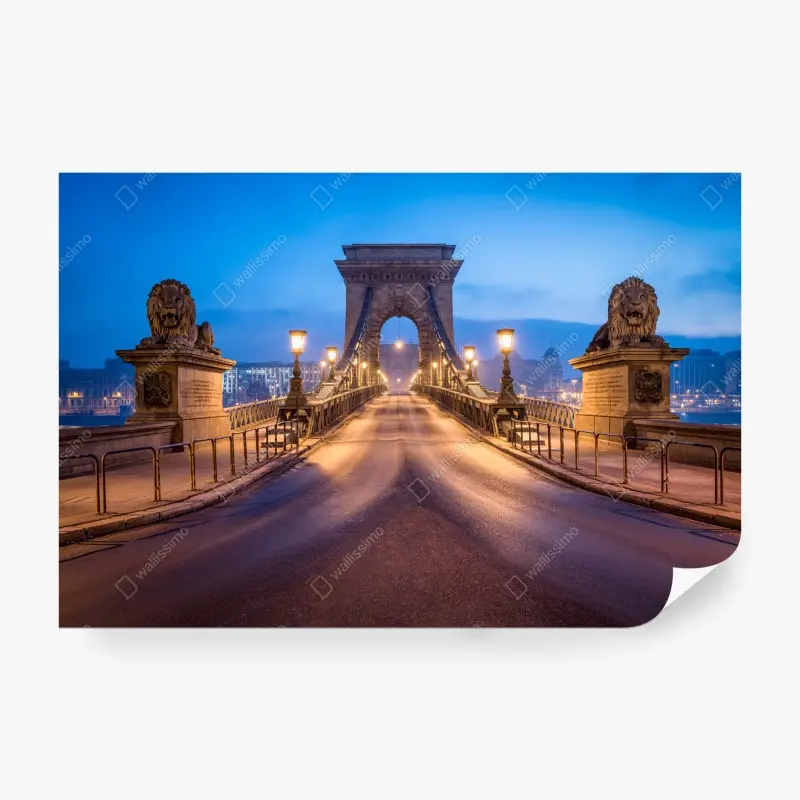 Fototapeta Budapeszt most łańcuchowy o zmierzchu