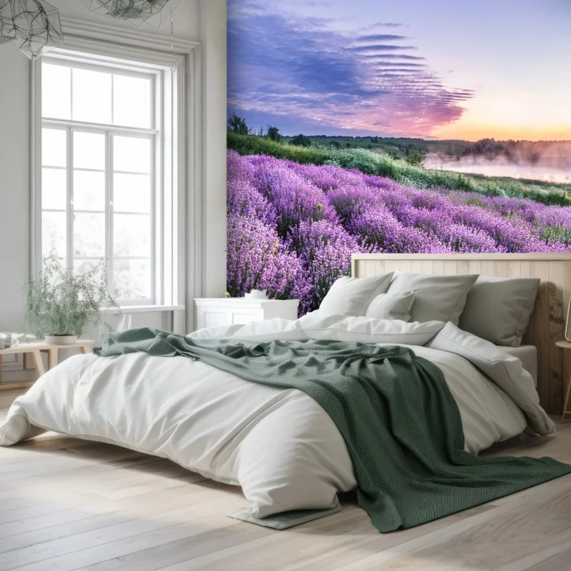 Fototapeta pole lawendy o świcie