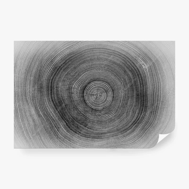 Fototapeta monochromatyczne słoje drzewa