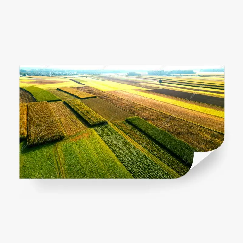 Fototapeta kolorowe lotnicze pola uprawne