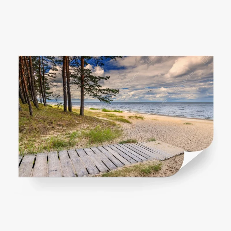 Fototapeta spokojna sosnowa plaża nad morzem
