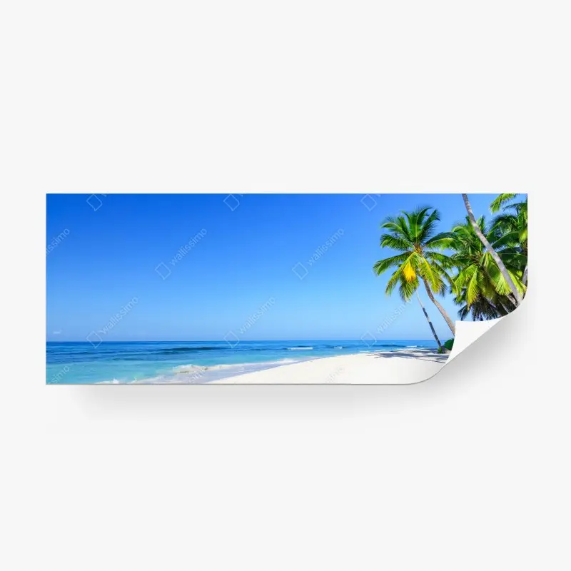 Fototapeta panorama tropikalnej plaży z palmami