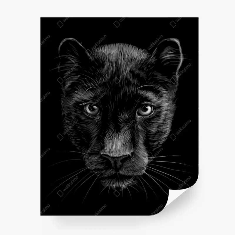 Fototapeta portret czarnej pantery