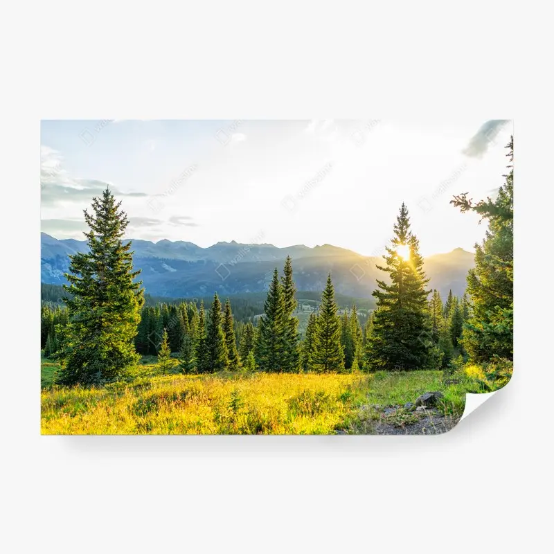 Fototapeta słoneczna górska łąka o wschodzie słońca
