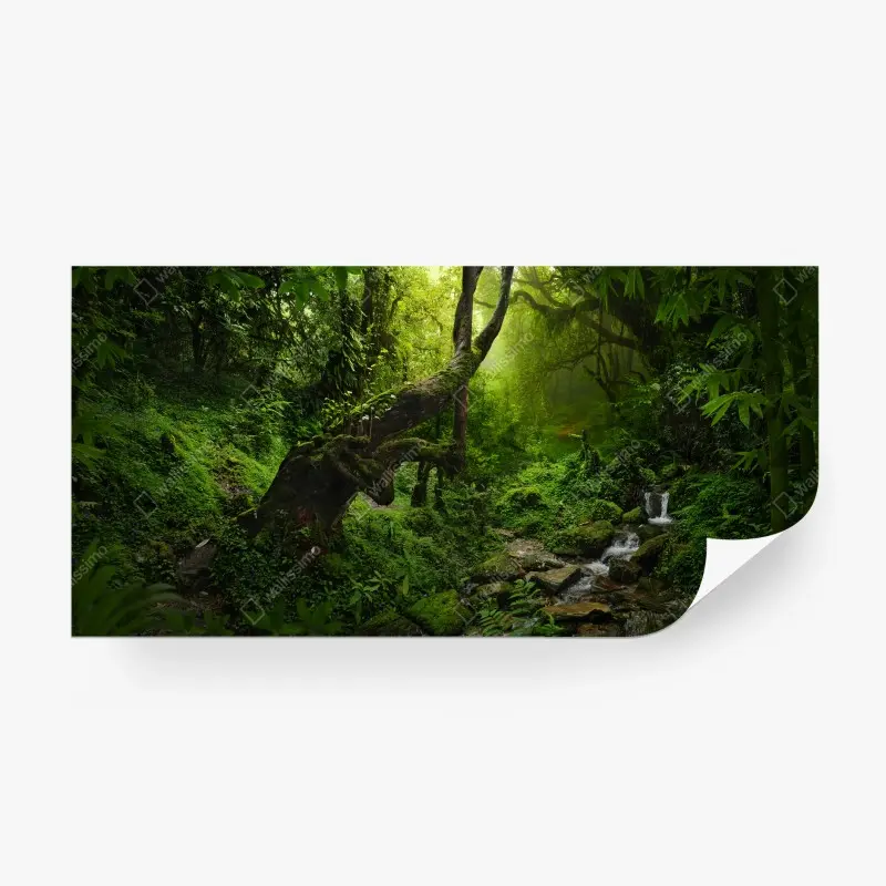Fototapeta zaczarowany mszysty las z potokiem