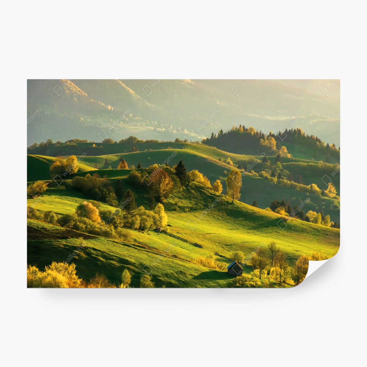 Fototapeta słoneczne wiosenne wzgórza – Wallissimo®