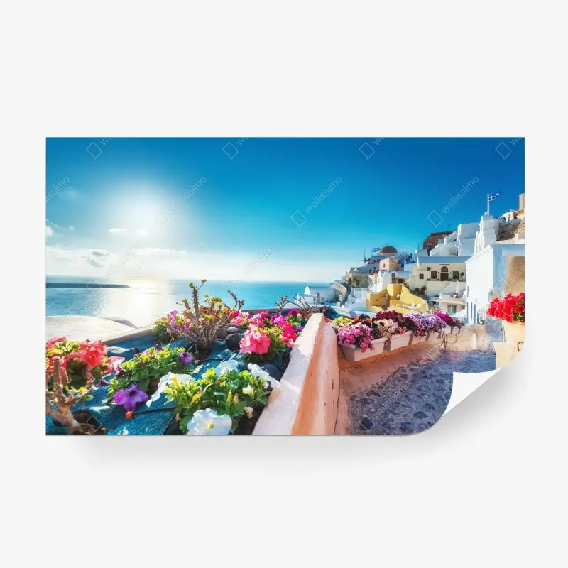 Fototapeta Santorini taras z kwitnącymi kwiatami