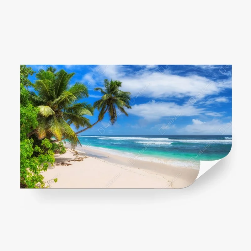 Fototapeta tropikalna plaża z palmami