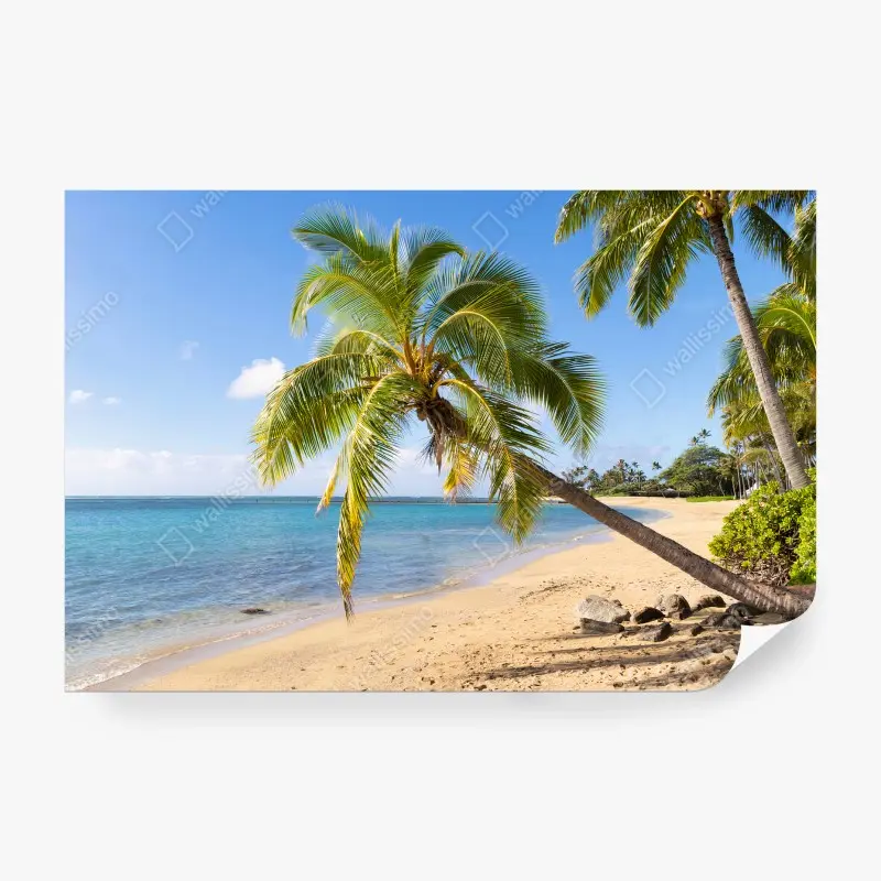 Fototapeta PLAŻA PALMA OCEAN PIASEK RAJ DO SALONU