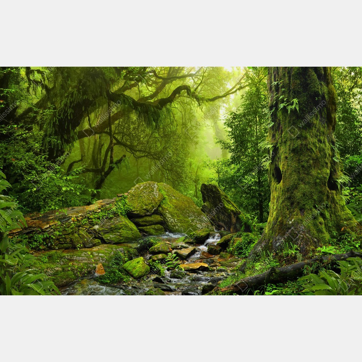 Naklejka na drzwi leśny strumień porośnięty mchem – Wallissimo® Naklejka na drzwi leśny strumień porośnięty mchem – Wallissimo®