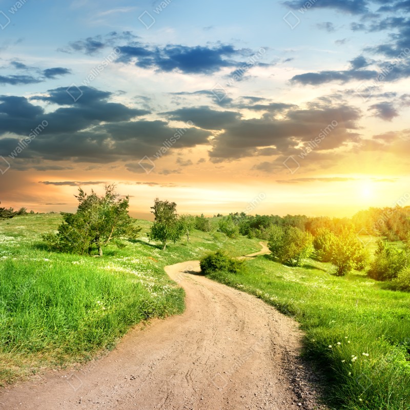 Naklejka na drzwi zachód słońca nad polną drogą w zielonej łące – Wallissimo® Naklejka na drzwi zachód słońca nad polną drogą w zielonej łące – Wallissimo®