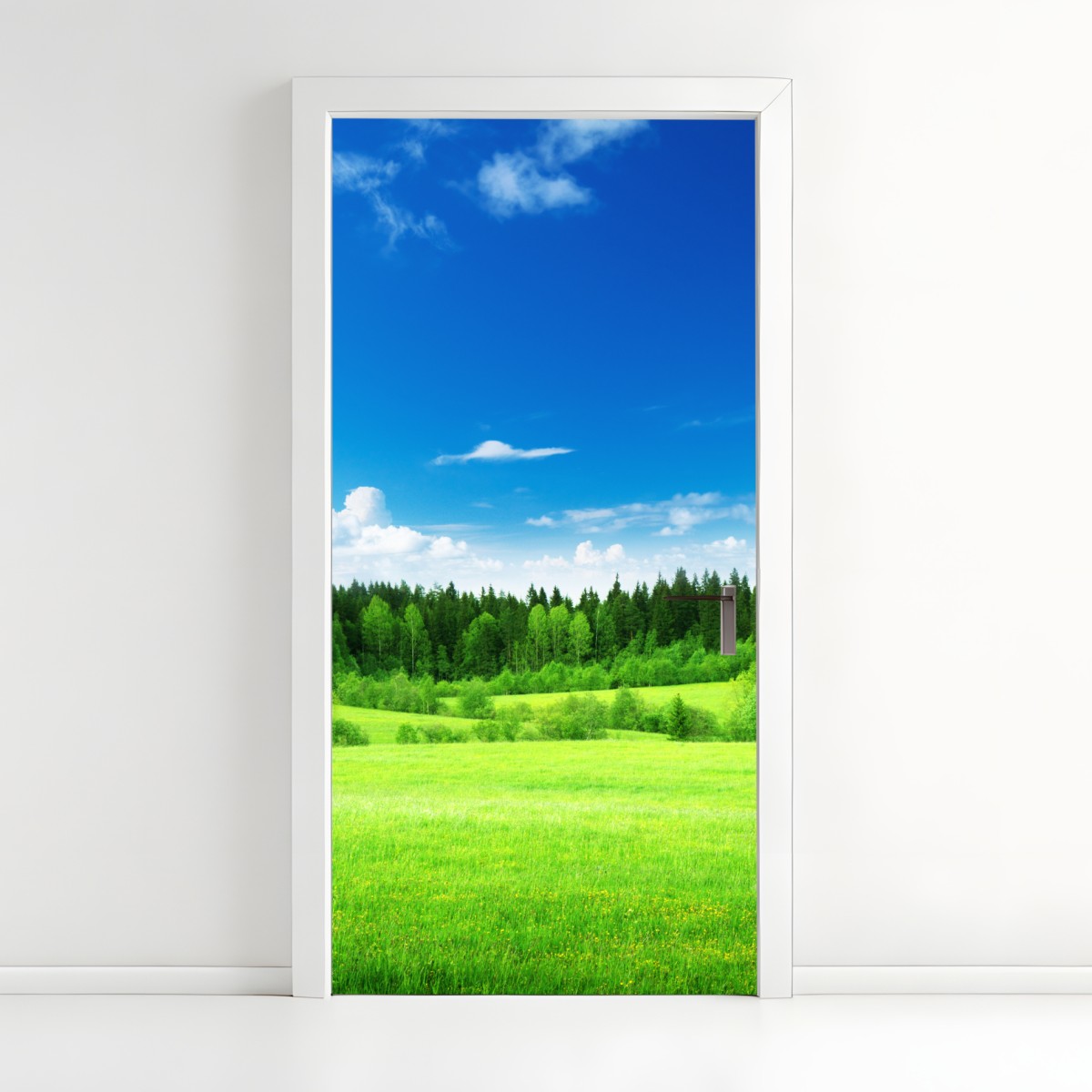 Door sticker spring meadow under a blue sky