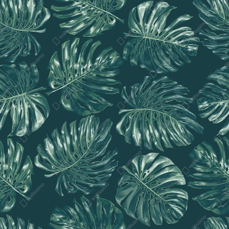 Naklejka na drzwi wzór tropikalnych liści monstery – Wallissimo® Naklejka na drzwi wzór tropikalnych liści monstery – Wallissimo®