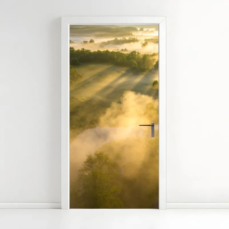 Naklejka na drzwi mchowe kamienne schody do mglistego lasu – Wallissimo®