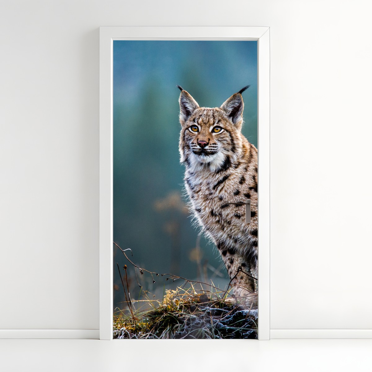 Door sticker majestic Eurasian lynx in natural habitat