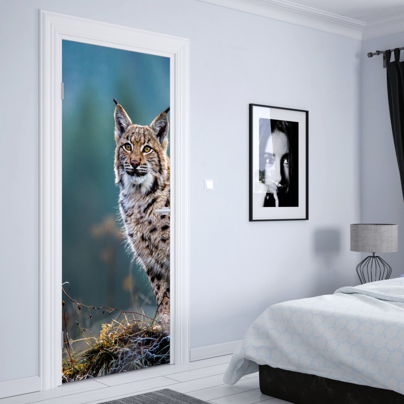 Naklejka na drzwi majestatyczny ryś w naturalnym środowisku – Wallissimo® Naklejka na drzwi majestatyczny ryś w naturalnym środowisku – Wallissimo®