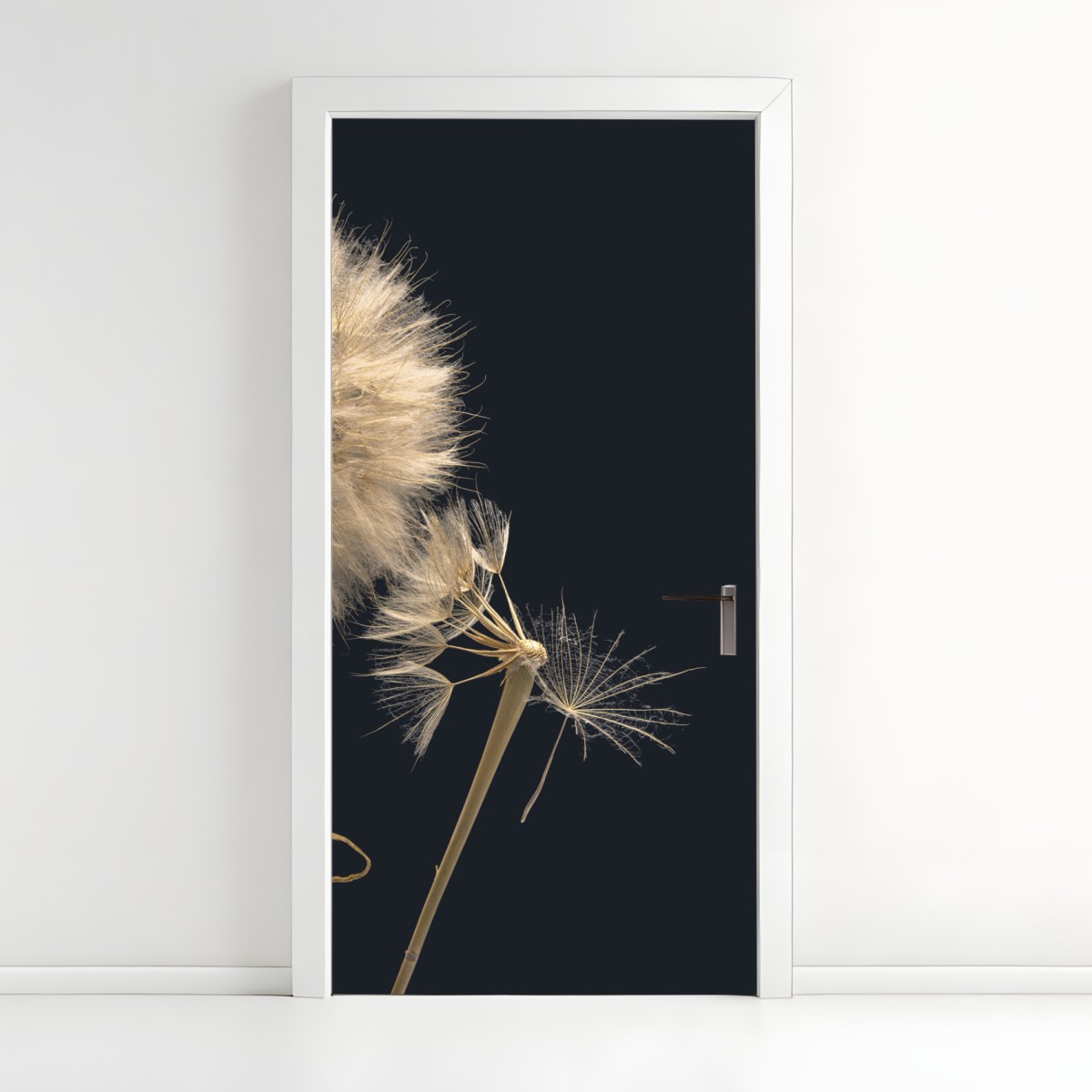 Door sticker delicate dandelion seeds on dark background