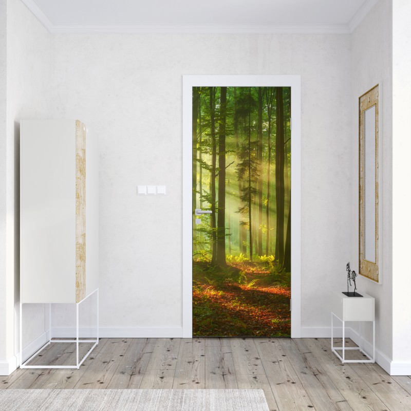 Naklejka na drzwi poranne światło w zielonym lesie – Wallissimo® Naklejka na drzwi poranne światło w zielonym lesie – Wallissimo®