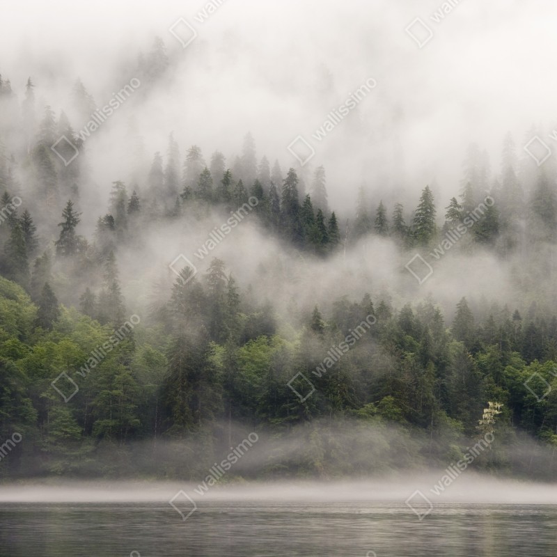 Naklejka na drzwi mglisty las nad wybrzeżem, Kolumbia Brytyjska – Wallissimo® Naklejka na drzwi mglisty las nad wybrzeżem, Kolumbia Brytyjska – Wallissimo®
