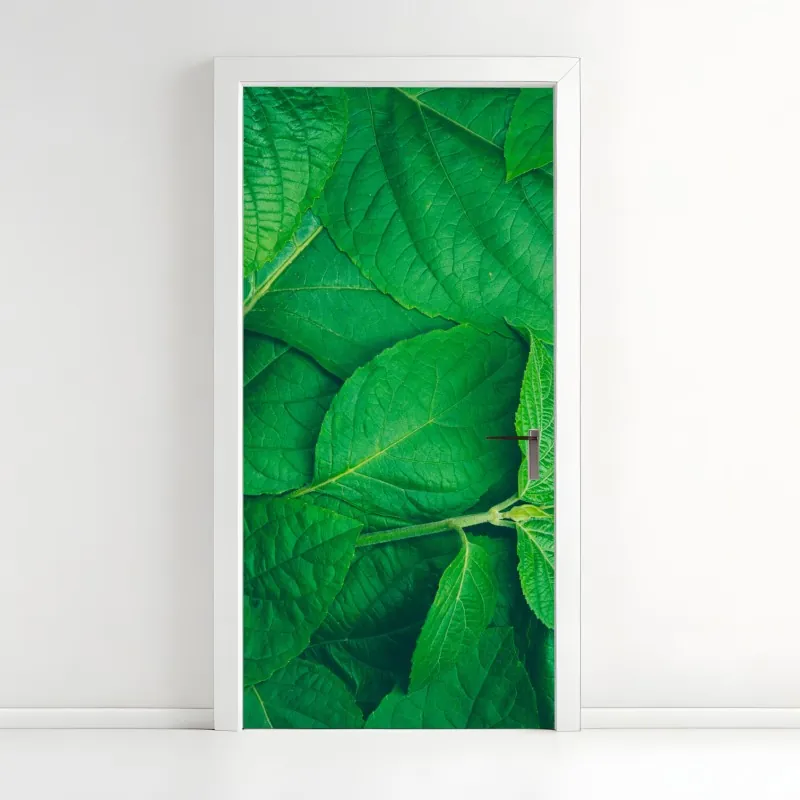 Naklejka na drzwi pastelowy wzór muszelkowy – Wallissimo®