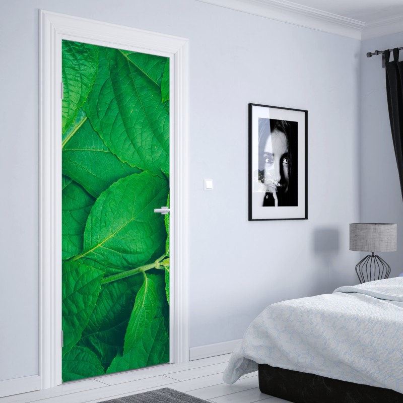 Naklejka na drzwi soczyste zielone liście – Wallissimo® Naklejka na drzwi soczyste zielone liście – Wallissimo®