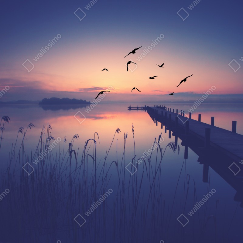Naklejka na drzwi spokojny wschód nad jeziorem z ptakami – Wallissimo® Naklejka na drzwi spokojny wschód nad jeziorem z ptakami – Wallissimo®