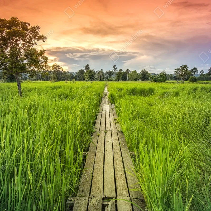 Naklejka na drzwi zachód słońca nad drewnianym mostem w Khonburi – Wallissimo® Naklejka na drzwi zachód słońca nad drewnianym mostem w Khonburi – Wallissimo®
