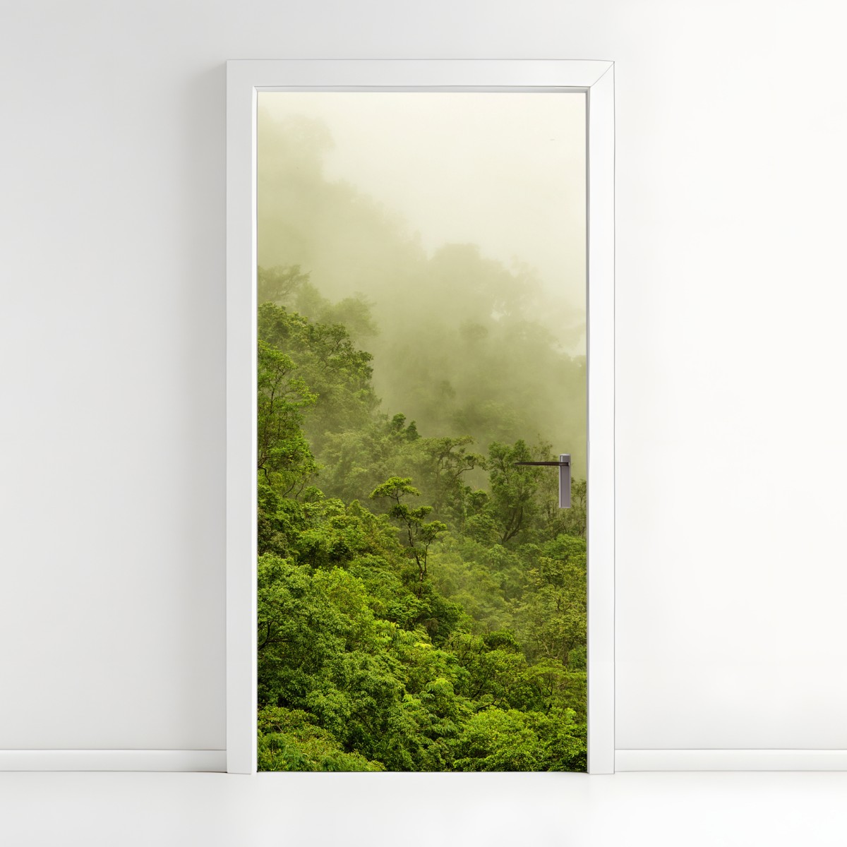 Door sticker misty rainforest near Cairns