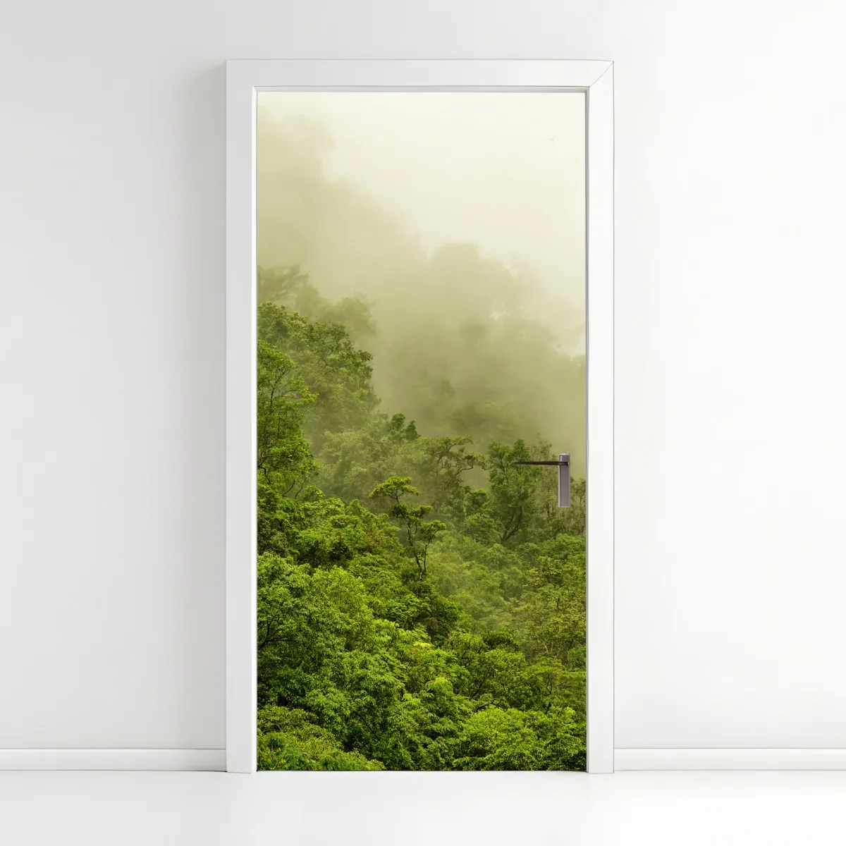 Naklejka na drzwi mglisty las deszczowy w pobliżu Cairns – Wallissimo® Naklejka na drzwi mglisty las deszczowy w pobliżu Cairns – Wallissimo®