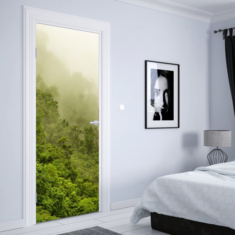 Naklejka na drzwi mglisty las deszczowy w pobliżu Cairns – Wallissimo® Naklejka na drzwi mglisty las deszczowy w pobliżu Cairns – Wallissimo®