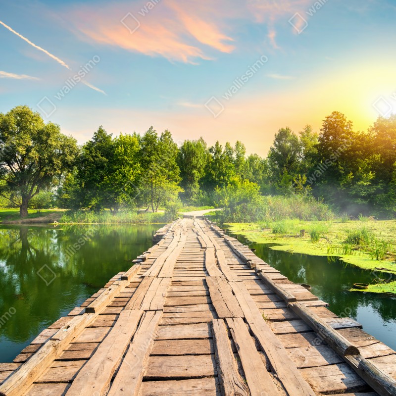 Naklejka na drzwi słoneczny drewniany most nad spokojnym jeziorem – Wallissimo® Naklejka na drzwi słoneczny drewniany most nad spokojnym jeziorem – Wallissimo®